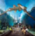 Fun filled and exciting exposure to marine life at Under Water World with Private Transfers